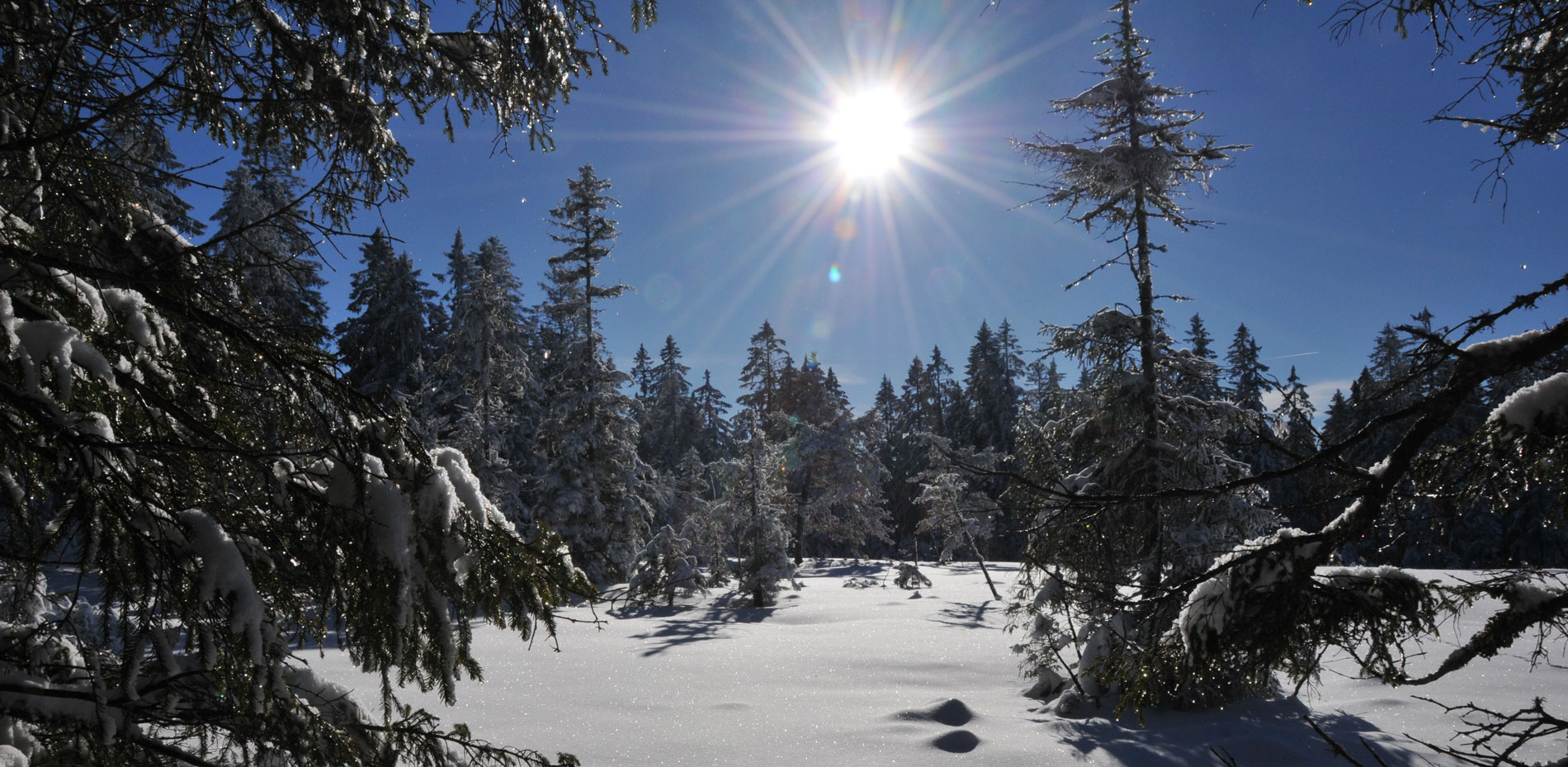 Bandeau Paysage Hiver