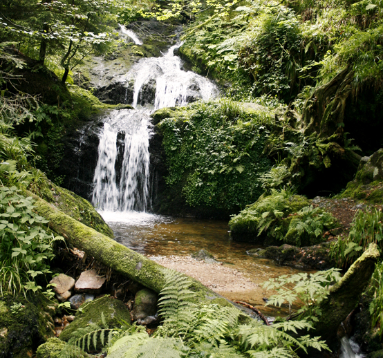 CYCLE DE L'EAU